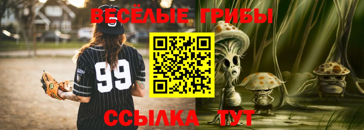 Краснодар  Галлюциногенные грибы GOLDEN TEACHER  где купить наркоту  Вход с VPN 